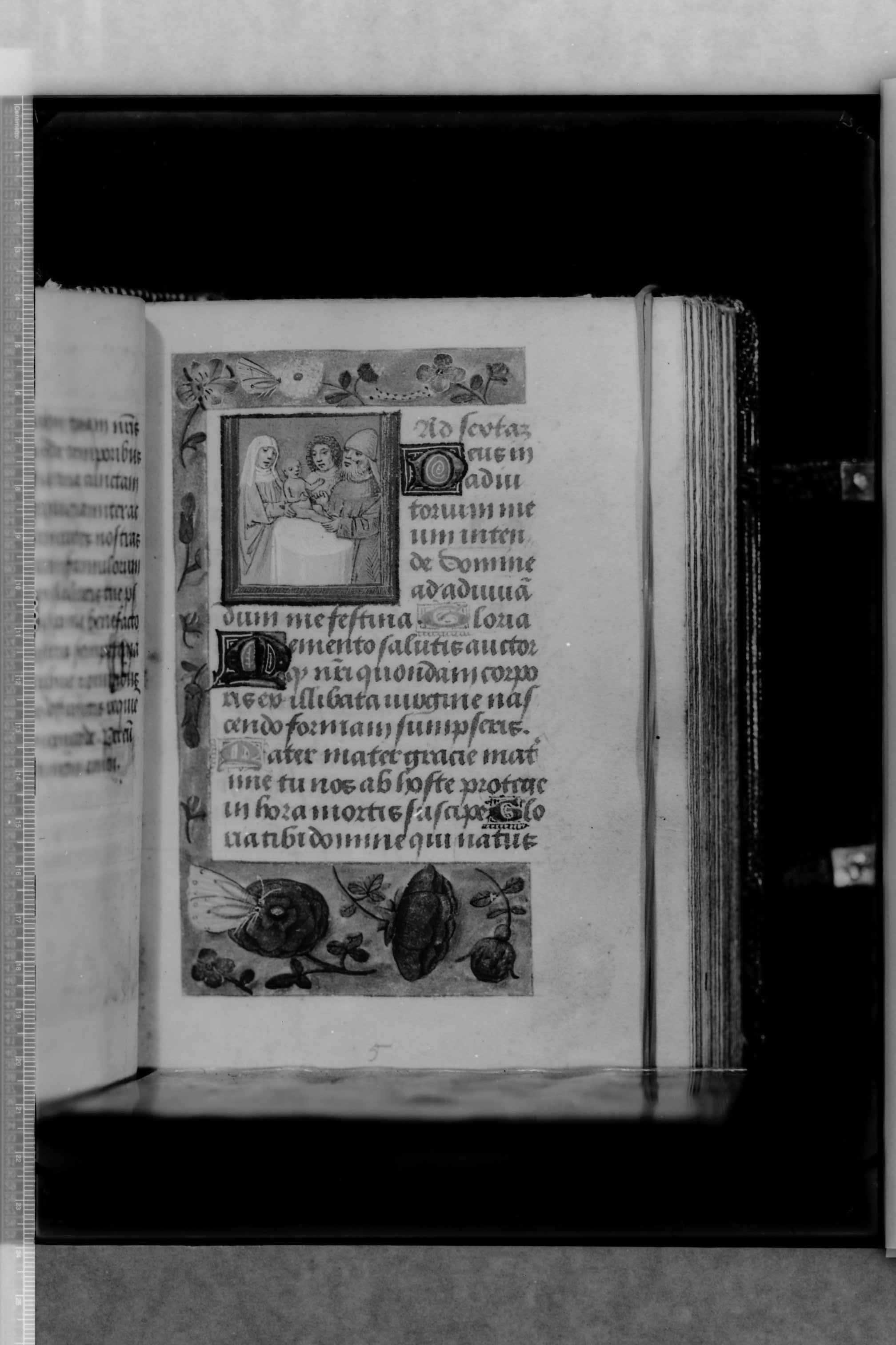 Molfetta (BA) - Biblioteca del Seminario (negativo) di Cinquepalmi, S (secondo quarto XX)