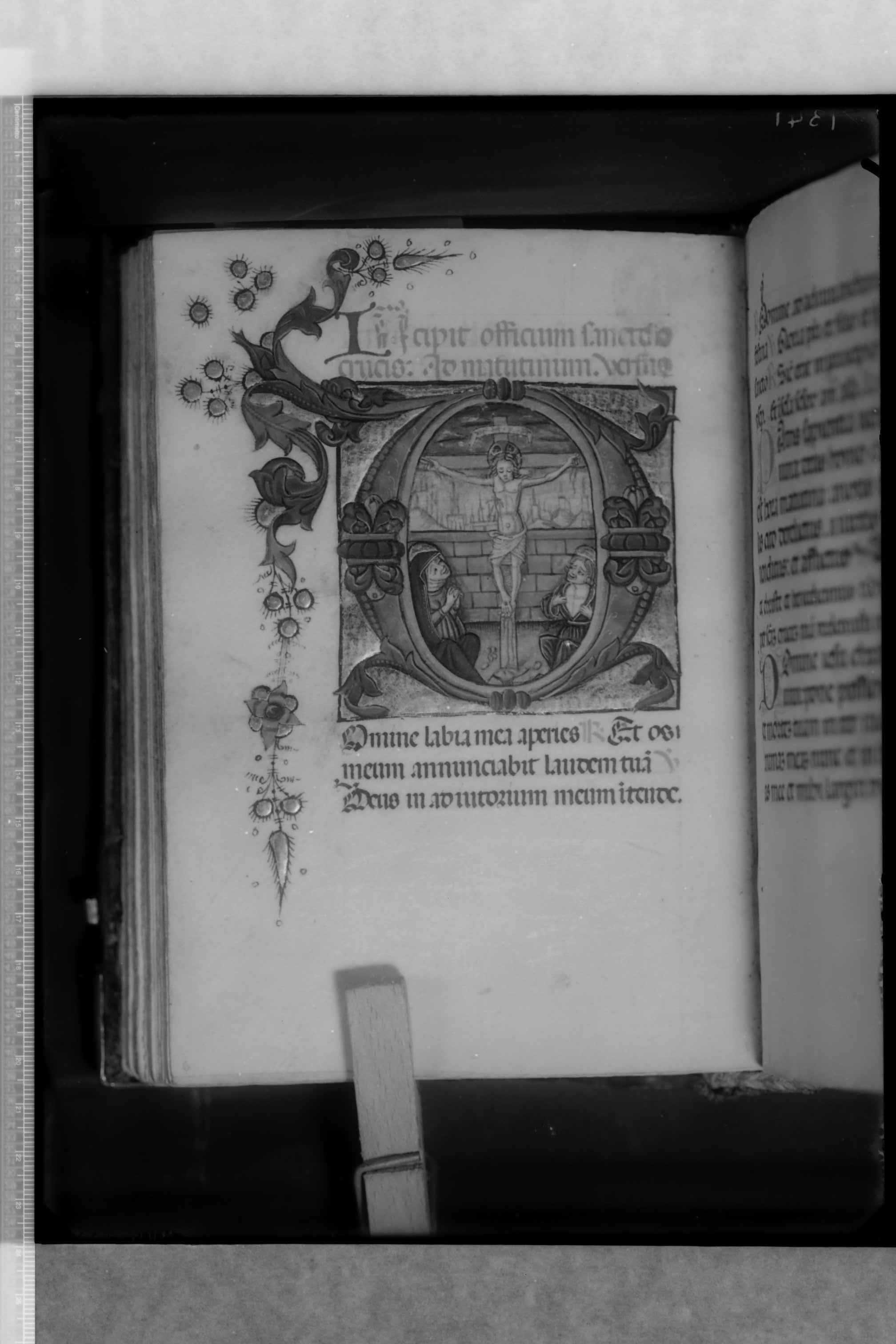 Lecce - Museo Provinciale (negativo) di Cinquepalmi, S (secondo quarto XX)