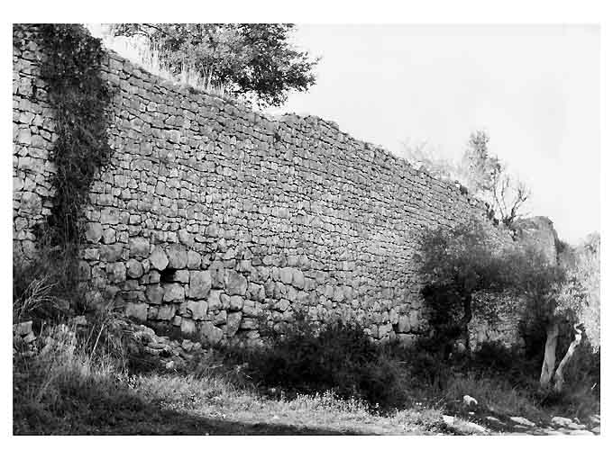 INSEDIAMENTO E MURA DI CASTIGLIONE (insediamento) - Conversano (BA) 