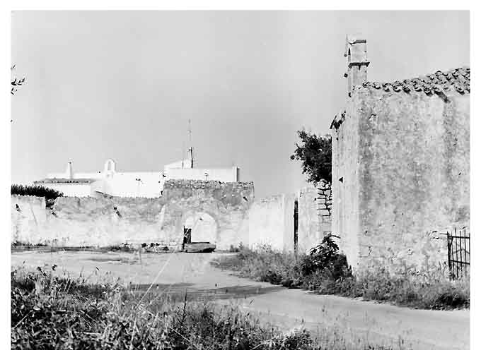 MASSERIA CARBONELLI (masseria) - Conversano (BA) 