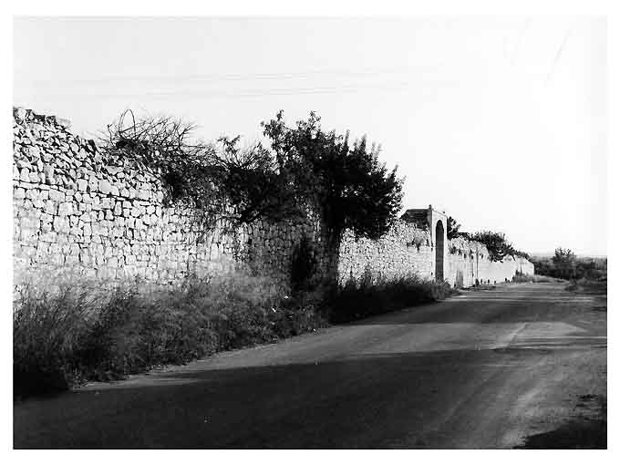 MASSERIA IL BOSCHETTO (masseria) - Conversano (BA) 