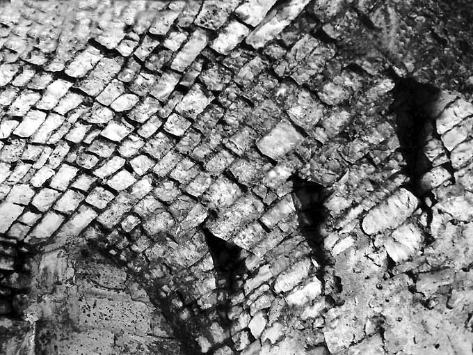 CAPPELLA DELLA "MADONNA DEI TETTI" (cappella, rurale) - CONVERSANO (BA) 