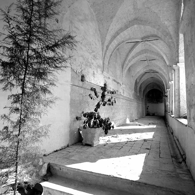 CONVENTO DI S. MARIA DELL'ISOLA (convento) - CONVERSANO (BA) 