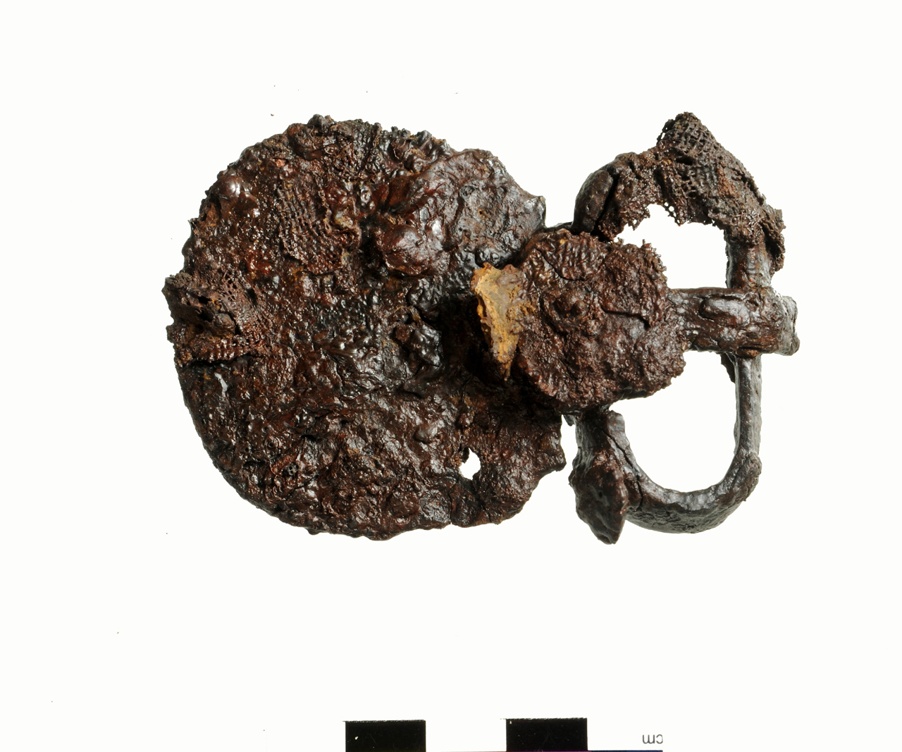 fibbia (fine/ inizio secc. VI/ VII)