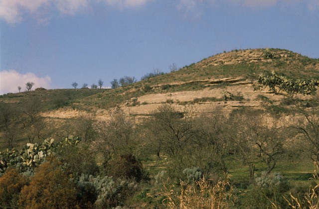 Necropoli di monte luna (area ad uso funerario, necropoli,)