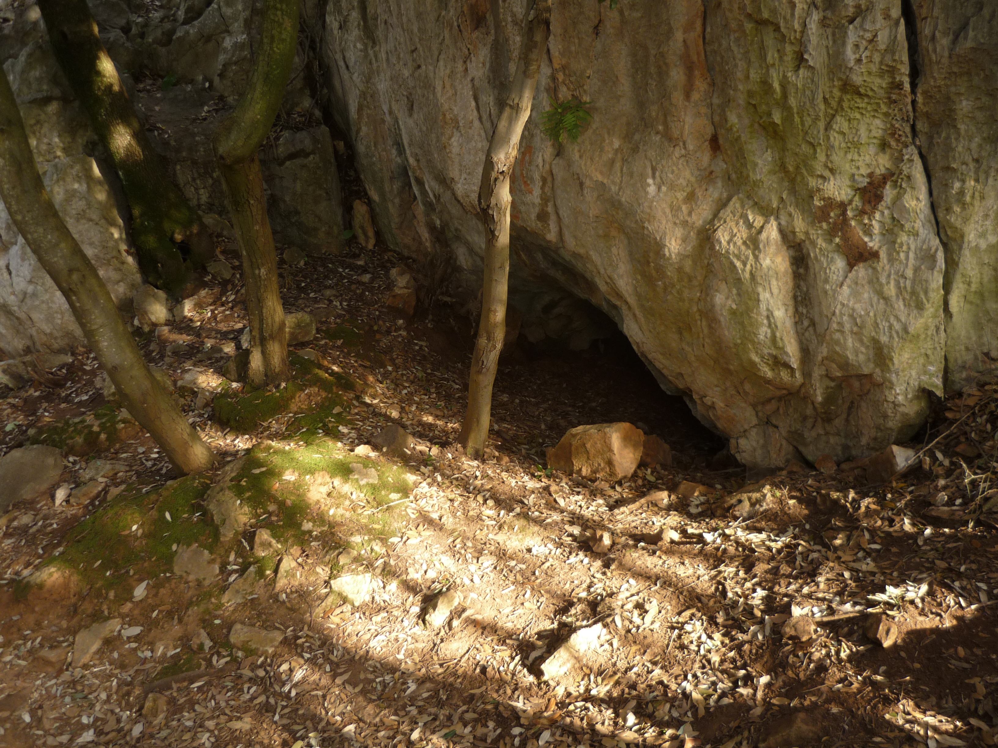 Grotta della volpe (area ad uso funerario, sepolcreto rupestre,)