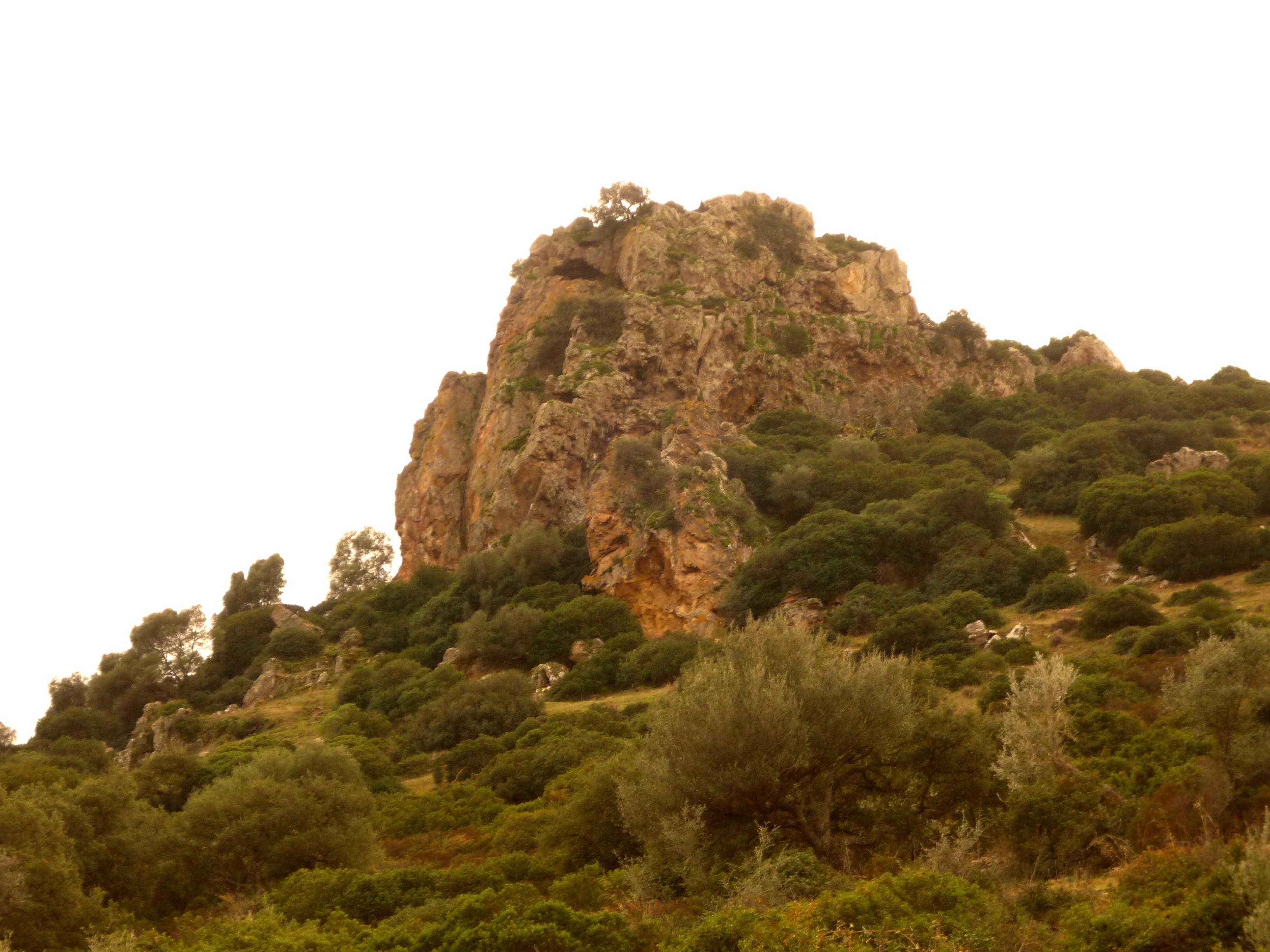 Grotta di su concali de corongiu acca (area ad uso funerario, sepolcreto rupestre)