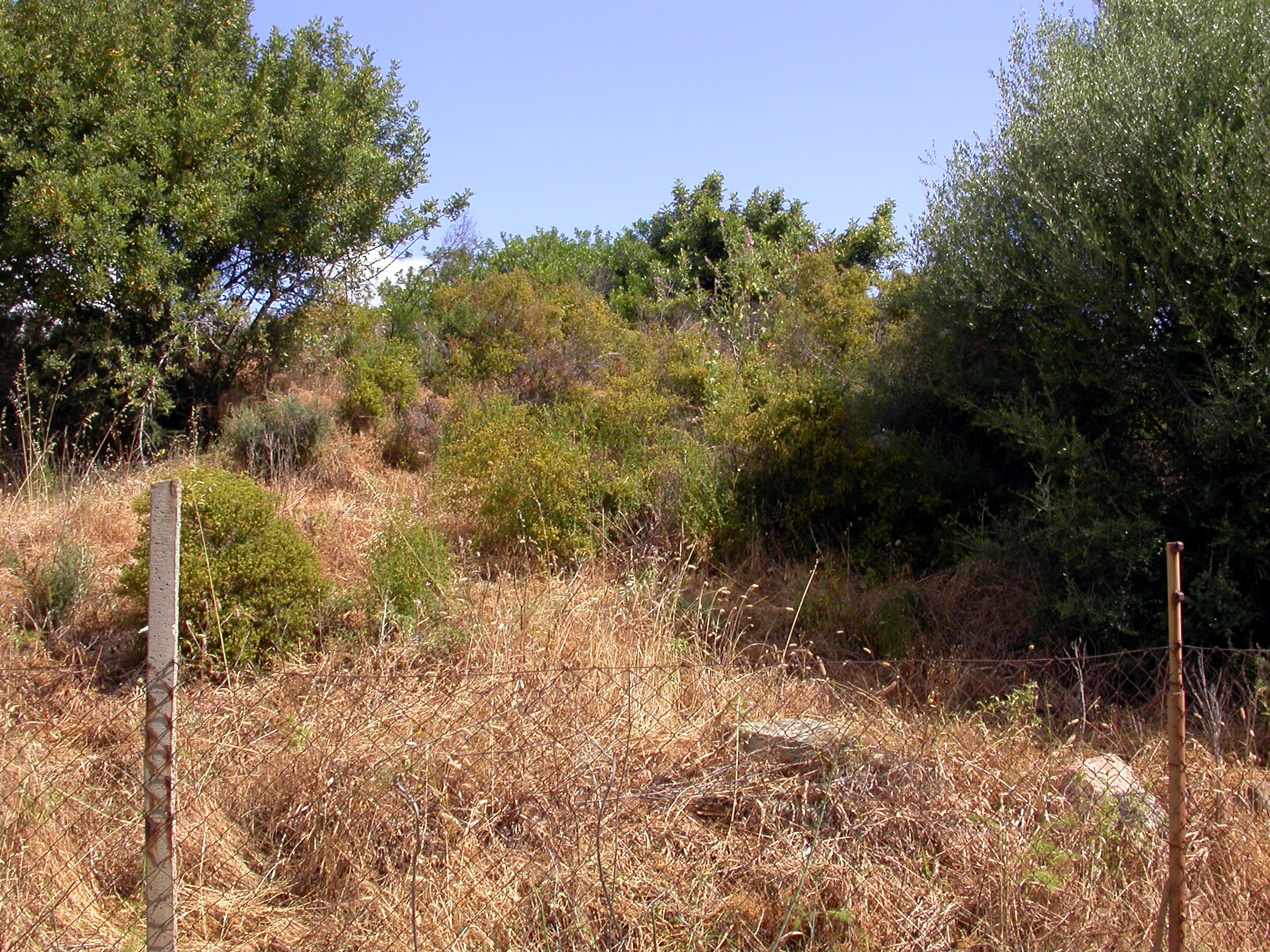 Perda 'e accuzzai (area ad uso funerario, tomba)