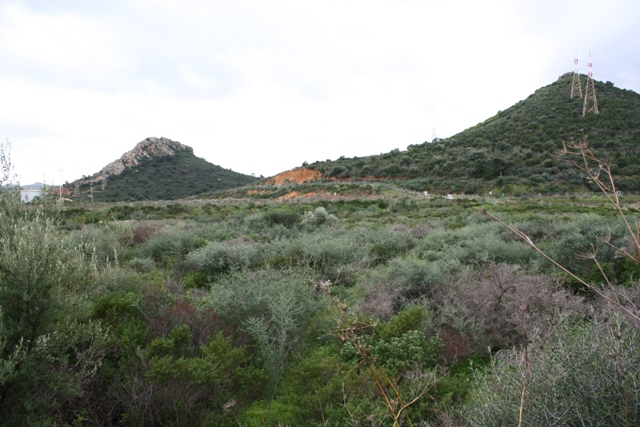 Tomba di cruxi 'e marmuri (area ad uso funerario, tomba)