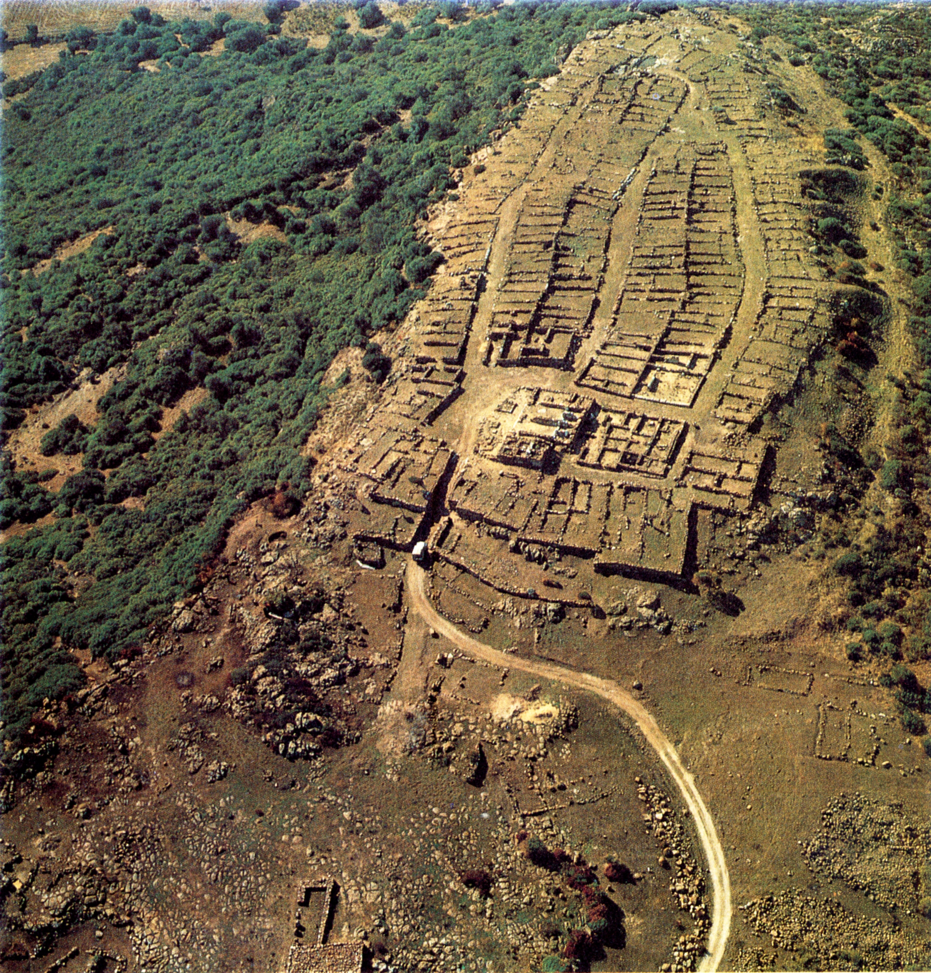 Monte sirai (insediamento, insediamento fortificato)