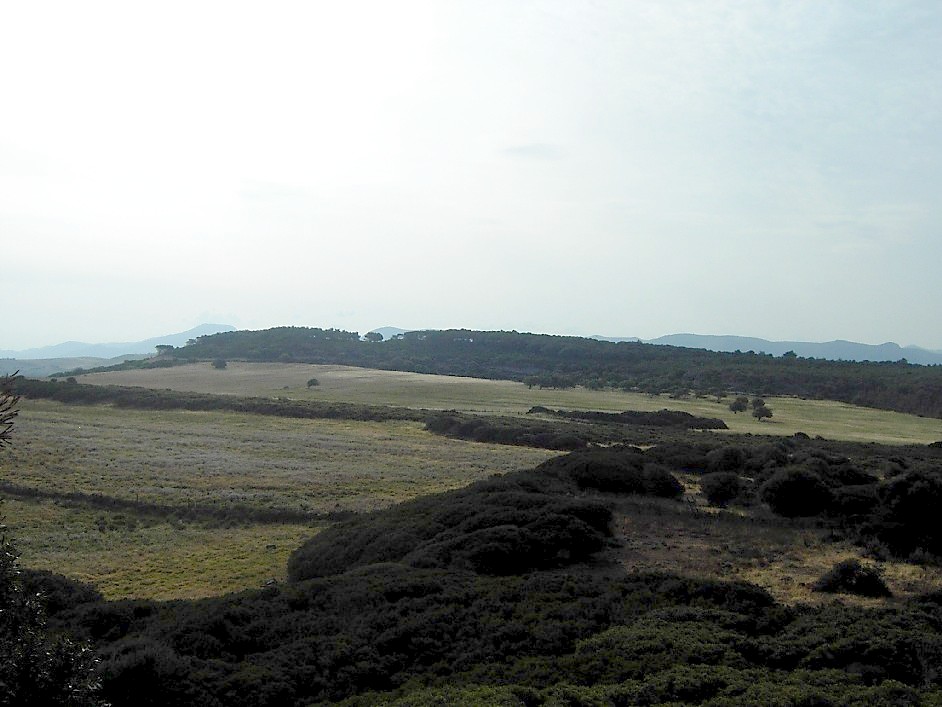 Serra maverru (area ad uso funerario, necropoli,)