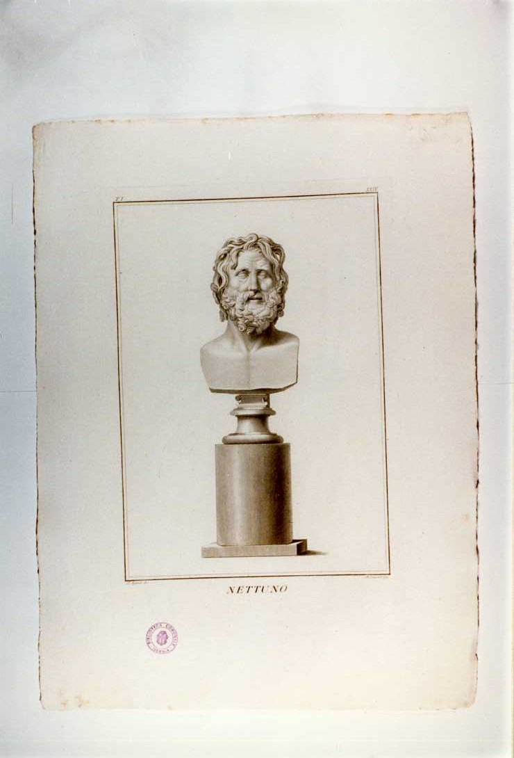 BUSTO DI NETTUNO (stampa, serie) di Consorti Bernardino, Agricola Luigi (sec. XIX)