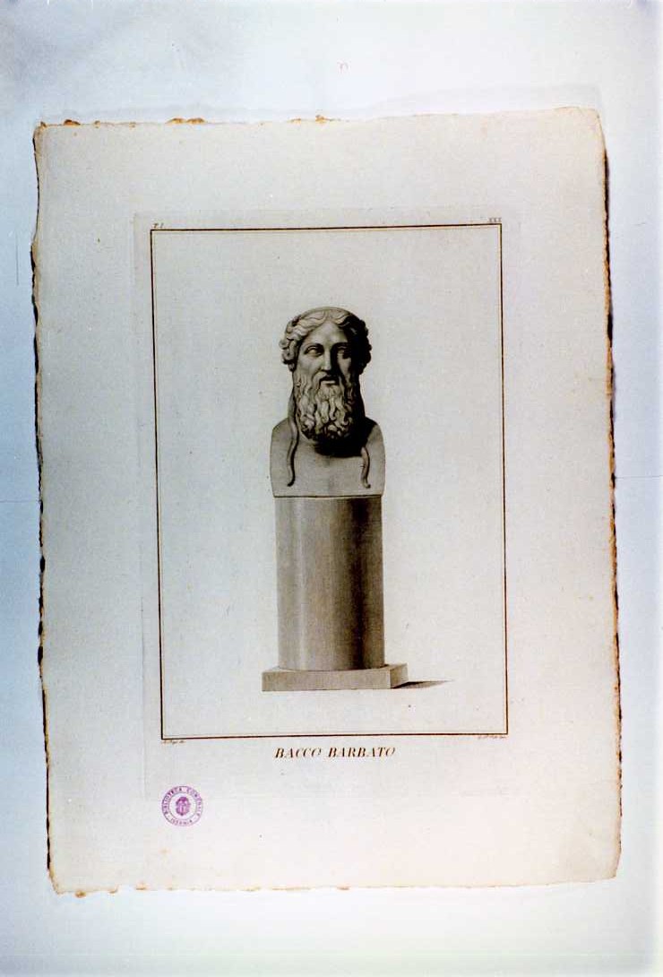 BUSTO DI BACCO (stampa, serie) di D'Este Giuseppe, Pozzi Andrea (sec. XIX)