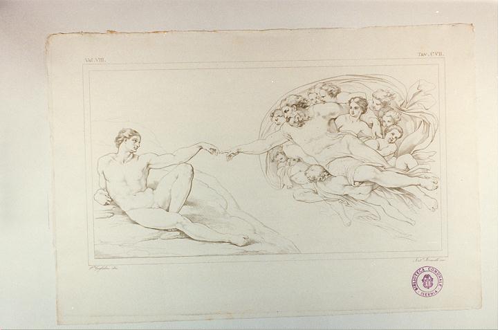 CREAZIONE DELL'UOMO (stampa tagliata, serie) di Buonarroti Michelangelo, Mannelli Antonio, Guglielmi Paolo (sec. XIX)