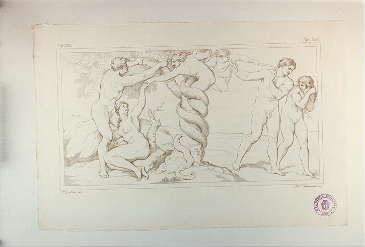 PECCATO ORIGINALE (stampa tagliata, serie) di Buonarroti Michelangelo, Trasmondi Pietro, Guglielmi Paolo (sec. XIX)