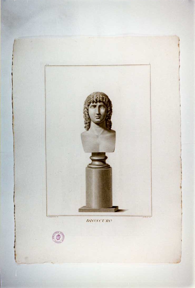 BUSTO DI DIOSCURO (stampa, serie) di Aureli Niccolò, Giangiacomo Francesco (sec. XIX)