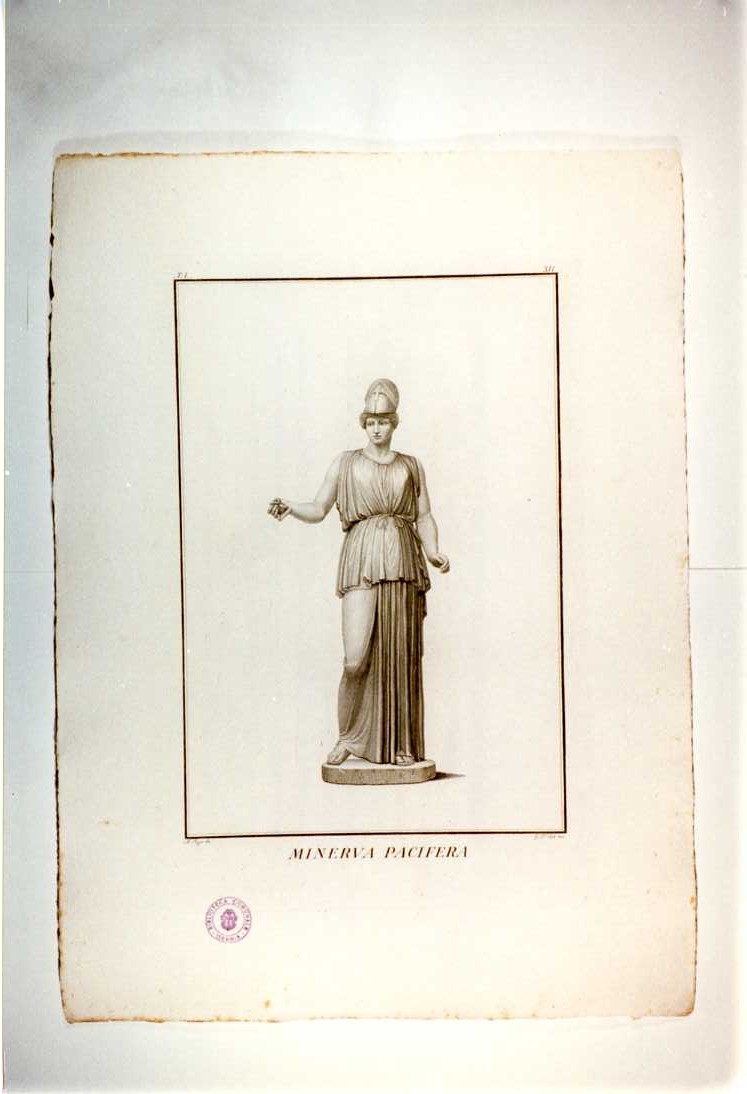 STATUA DI MINERVA PACIFERA (stampa, serie) di D'Este Giuseppe, Pozzi Andrea (sec. XIX)
