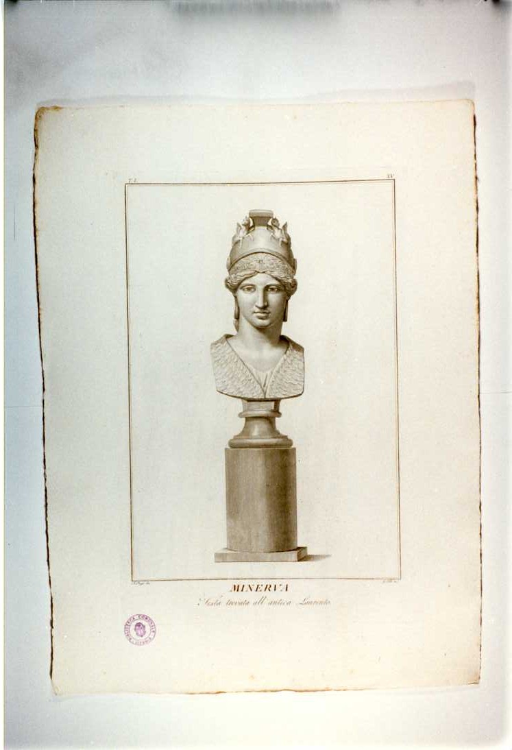 BUSTO DI MINERVA (stampa, serie) di Folo Giovanni, Pozzi Andrea (sec. XIX)