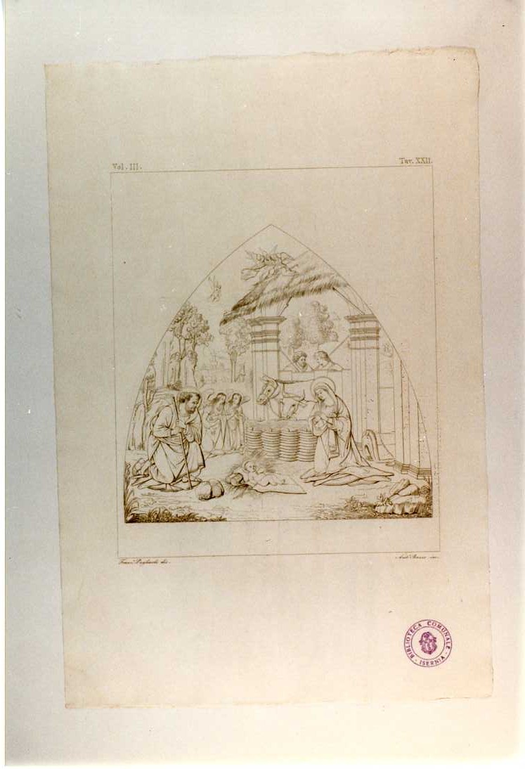 PRESEPE (stampa smarginata, serie) di Di Betto Bernardino detto Pinturicchio, Banzo Antonio, Pagliuolo Francesco (sec. XIX)