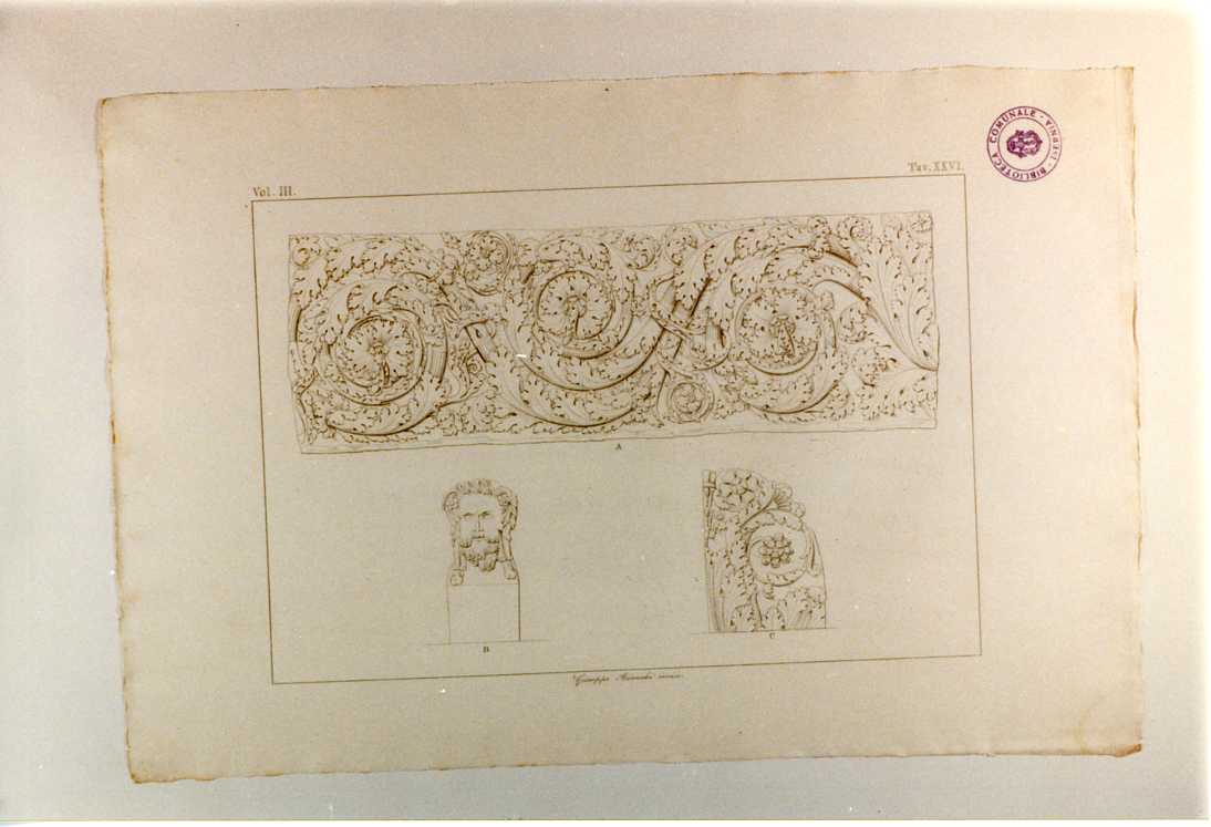 FREGIO VEGETALE A VOLUTE E TESTA DI GIOVE (stampa smarginata, serie) di Bianchi Giuseppe (sec. XIX)