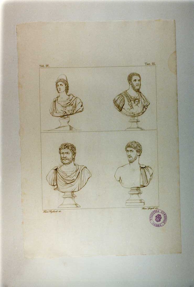 QUATTRO BUSTI (stampa smarginata, serie) di Garzoli Francesco, Pagliuolo Francesco (sec. XIX)