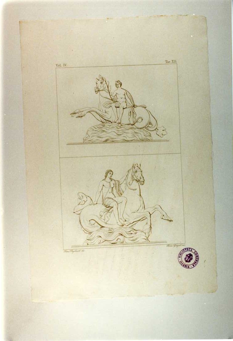 NEREIDI (stampa smarginata, serie) di Garzoli Francesco, Pagliuolo Francesco (sec. XIX)