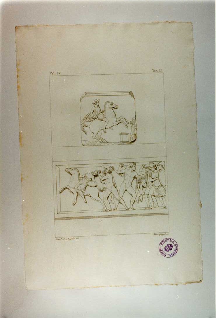 AMAZZONOMACHIA (stampa smarginata, serie) di Garzoli Francesco, De Angelis Vincenzo (sec. XIX)