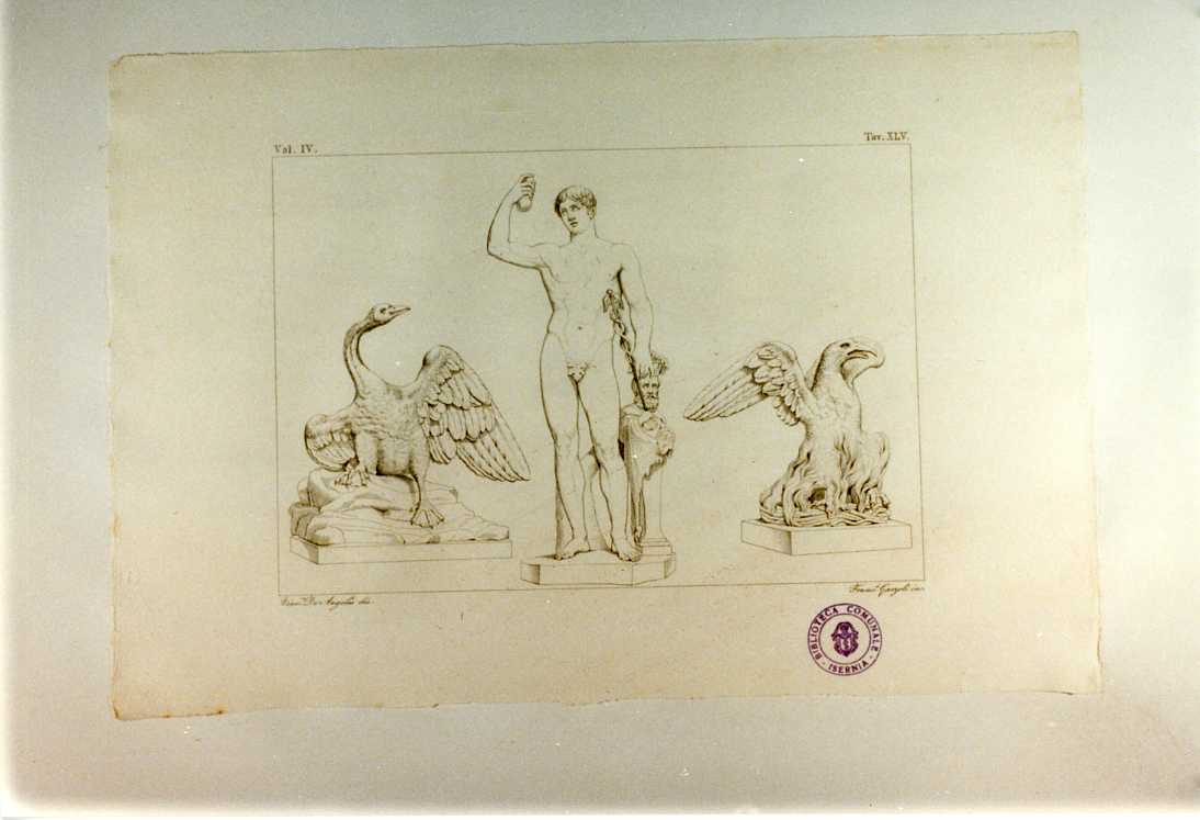 CIGNO; MERCURIO; FENICE (stampa smarginata, serie) di Garzoli Francesco, De Angelis Vincenzo (sec. XIX)