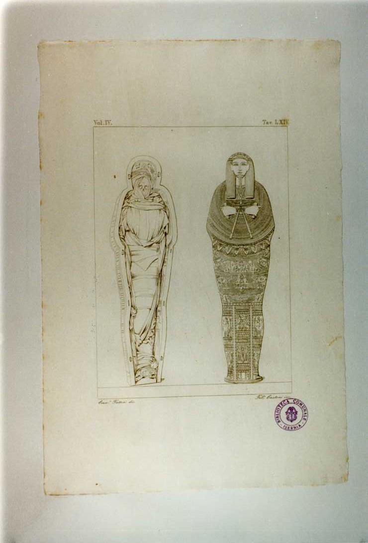 MUMMIA (stampa smarginata, serie) di Cartoni Filippo, Fattori Crescenzo (sec. XIX)