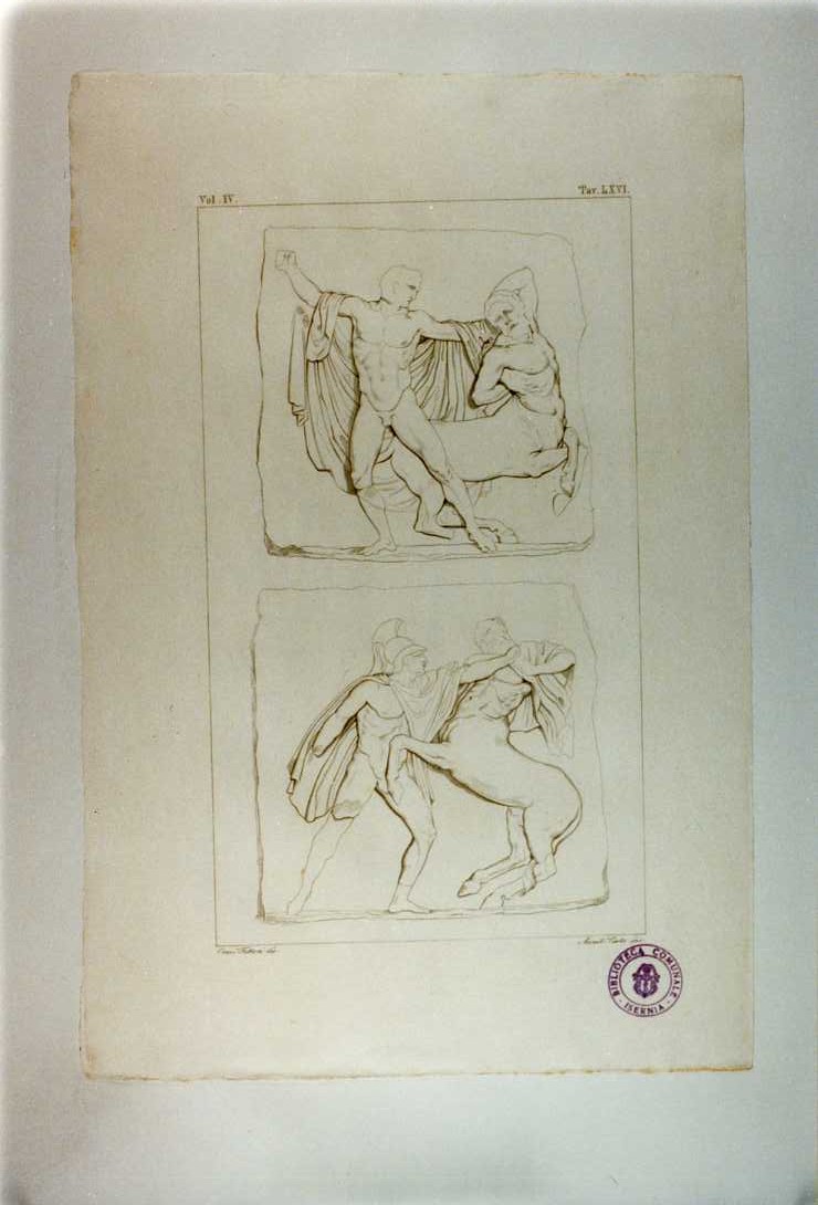 CENTAUROMACHIA (METOPE DEL PARTENONE) (stampa smarginata, serie) di Costa Annibale, Fattori Crescenzo (sec. XIX)