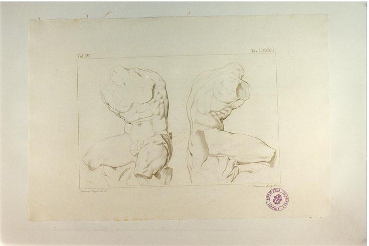 TORSO DEL BELVEDERE, TORSO VIRILE (DI FRONTE E DI LATO) (stampa smarginata, serie) di Garzoli Francesco, Pagliuolo Francesco (sec. XIX)