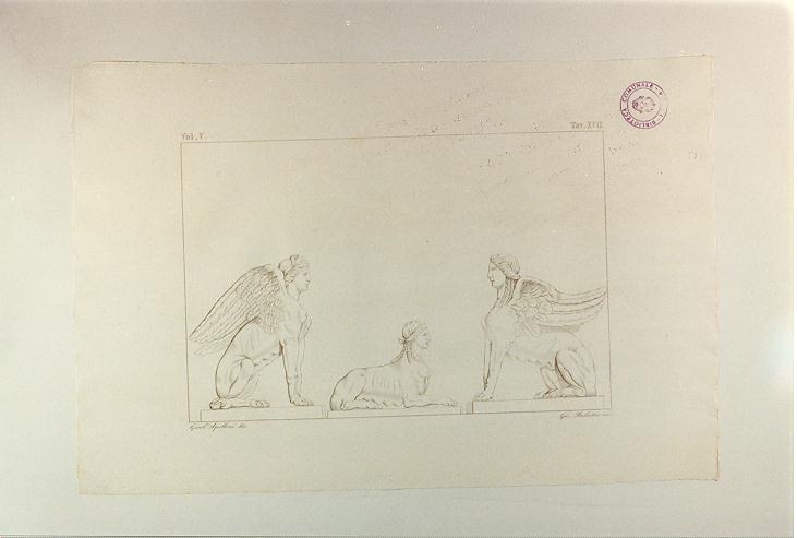 SFINGI (stampa smarginata, serie) di Balestra Giovanni Battista, Apolloni Girolamo (sec. XIX)
