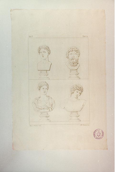 ANTINOO ED ALTRI BUSTI (stampa smarginata, serie) di Cartoni Filippo, Fattori Crescenzo (sec. XIX)