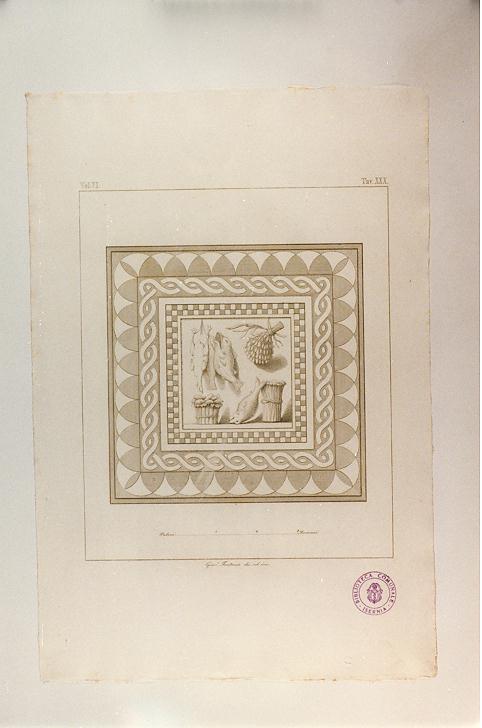 MOSAICO PAVIMENTALE (stampa tagliata, serie) di Fontana Giacomo (sec. XIX)