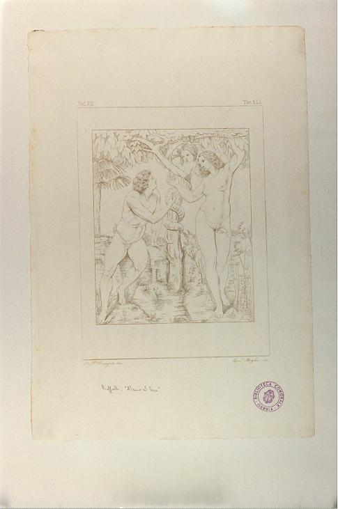 ADAMO ED EVA (stampa, serie) di Sanzio Raffaello, Morghen Giuseppe, Bonaiuti Raffaele (sec. XIX)