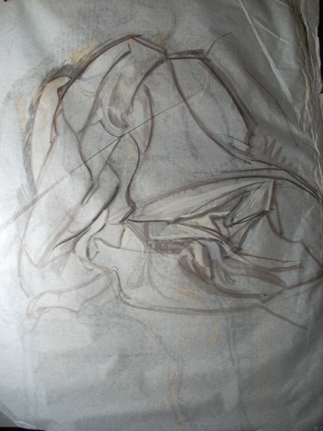 Piega in grigio (disegno) di Ciamarra Elena (sec. XX)