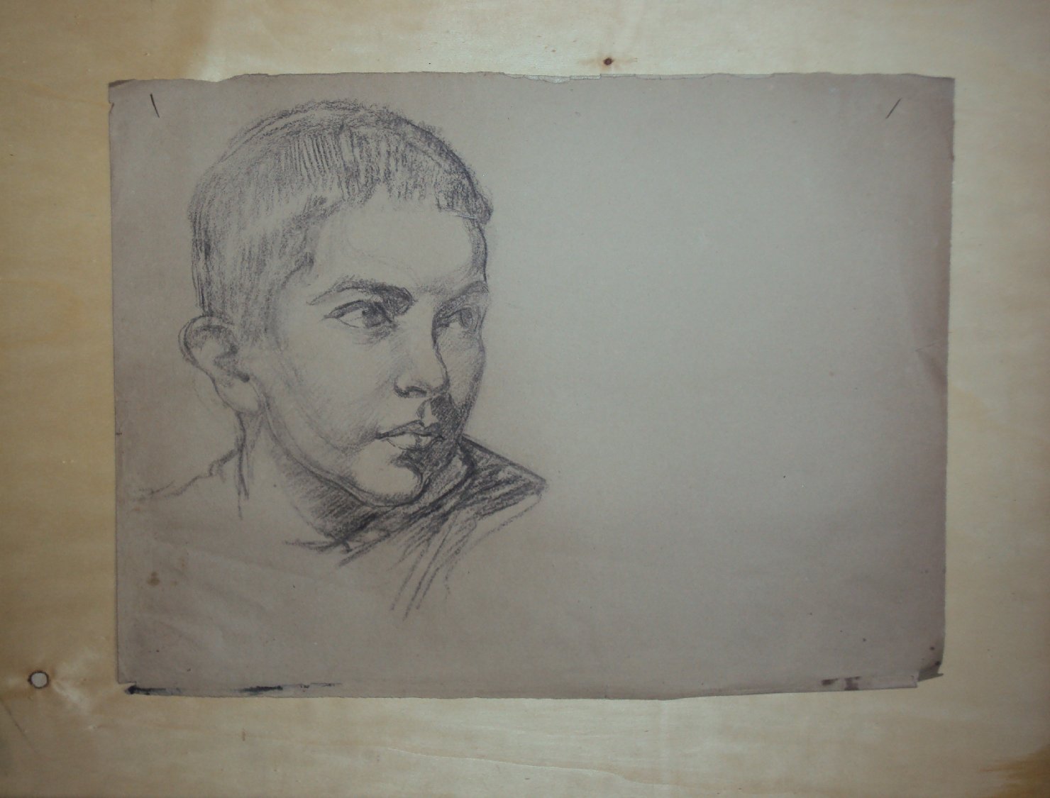 Leonardo giovinetto, giovane (disegno) di Ciamarra Elena (sec. XX)