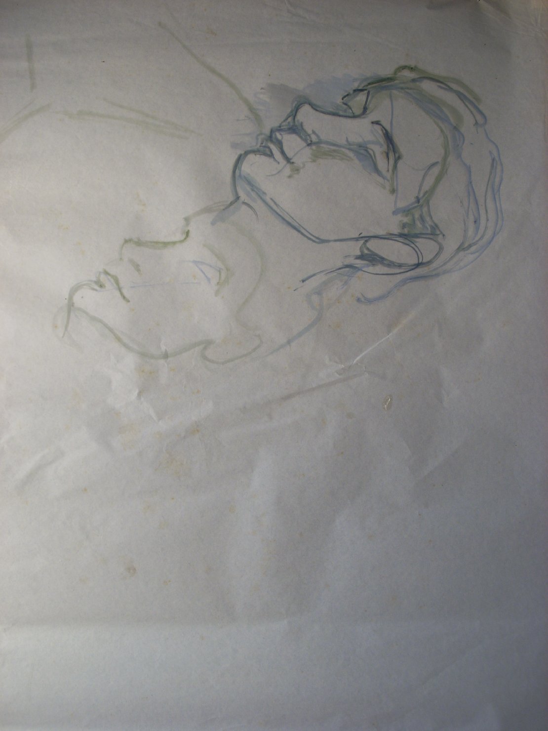 Due studi di teste umane in verde, testa d'uomo (disegno) di Ciamarra Elena (sec. XX)