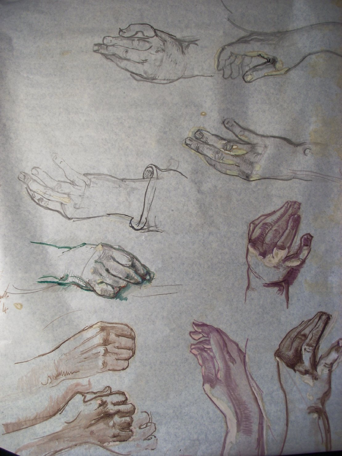 Dieci mani in viola e marrone, studio di mani (disegno) di Ciamarra Elena (sec. XX)