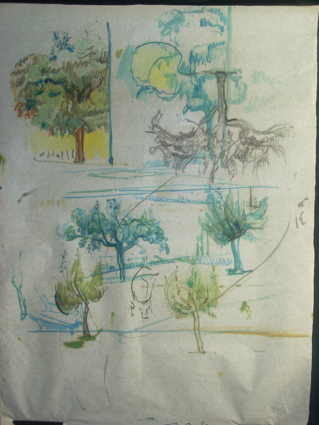 Studi vari di paesaggi con alberi, paesaggio con alberi (disegno) di Ciamarra Elena (sec. XX)