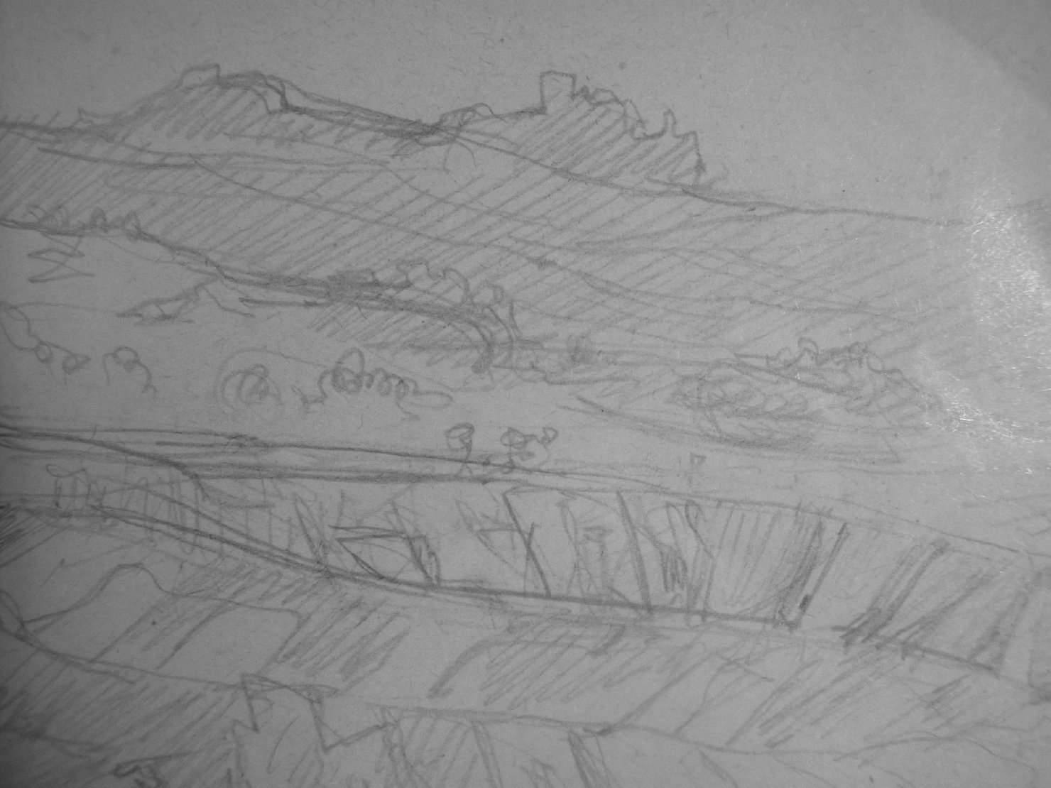 disegno di Ciamarra Elena (sec. XX)