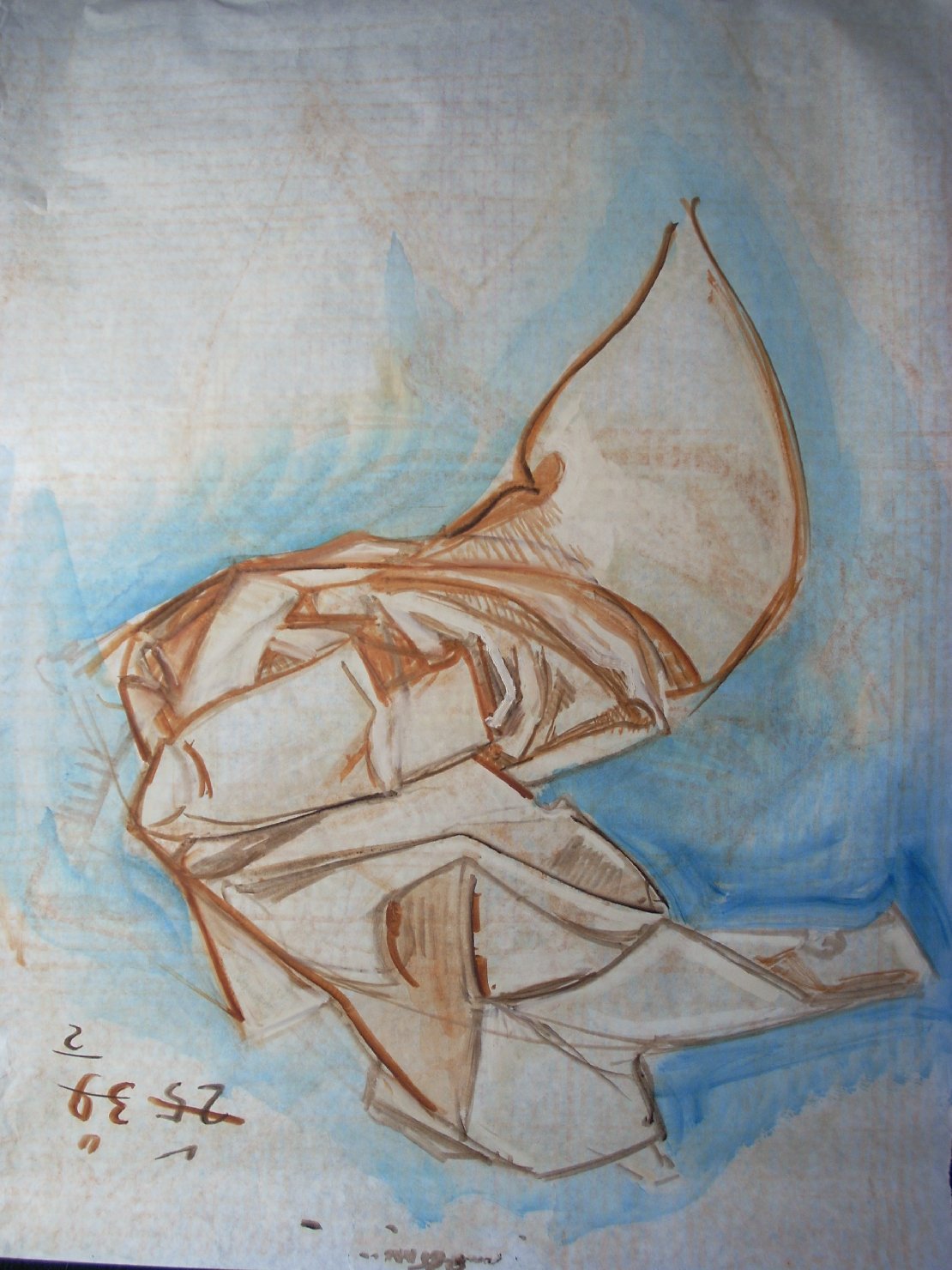 Piega in terra di Siena con ombra blu (disegno) di Ciamarra Elena (sec. XX)