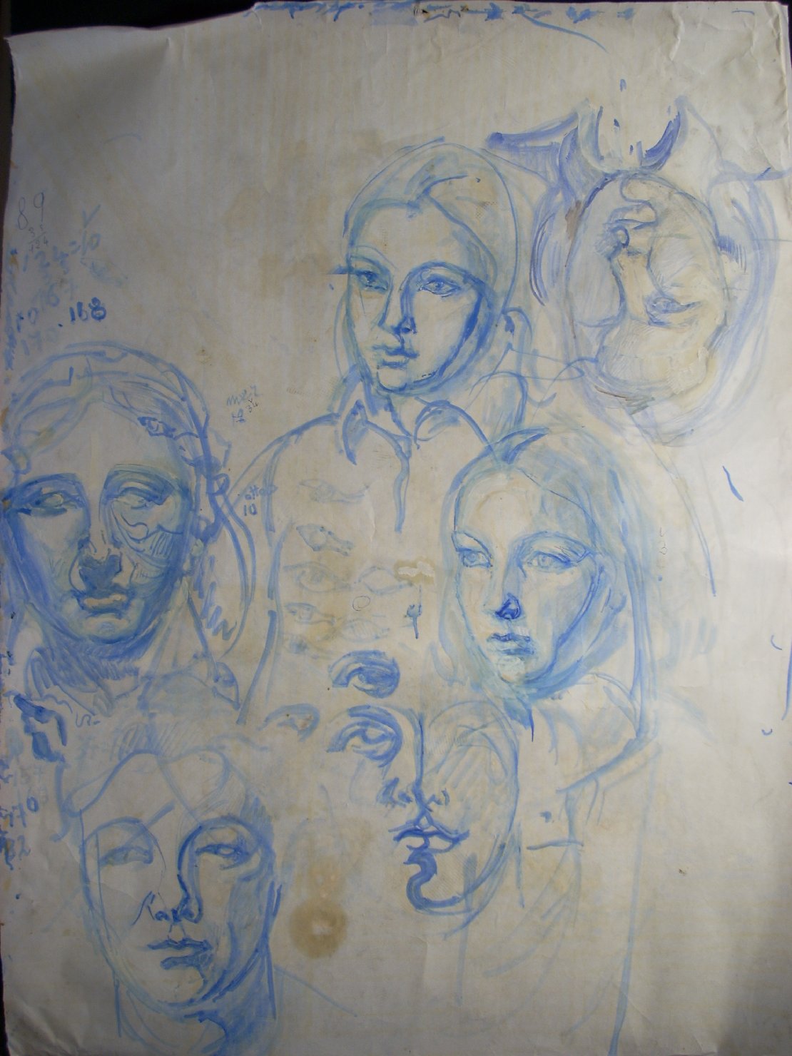 Sei studi vari in blu, testa di donna (disegno) di Ciamarra Elena (sec. XX)