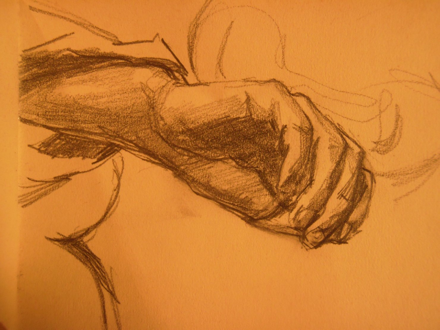 Schizzetto di mano, studio di mano (disegno) di Ciamarra Elena (sec. XX)