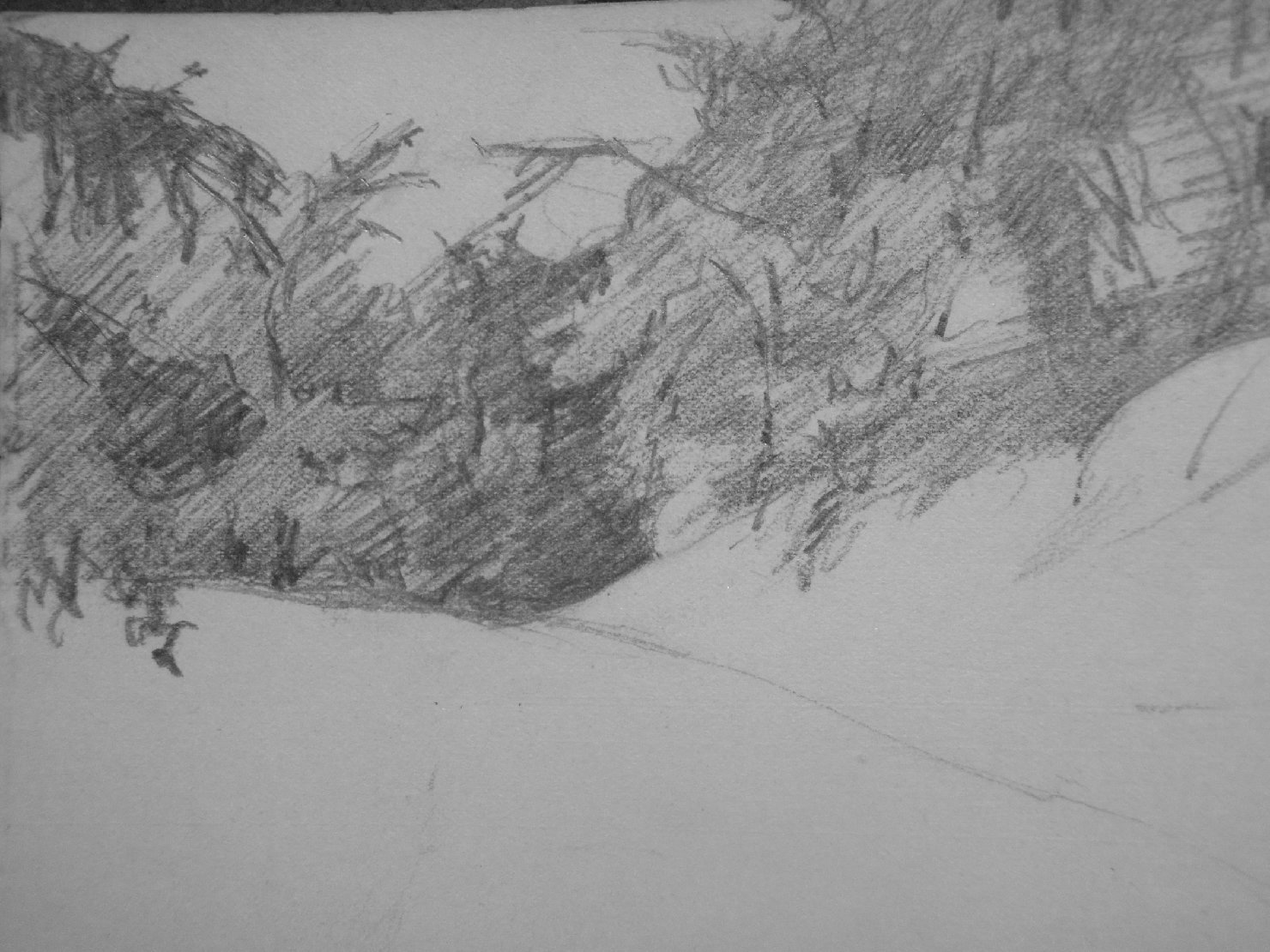 Alberi su neve, paesaggio con alberi (disegno) di Ciamarra Elena (sec. XX)