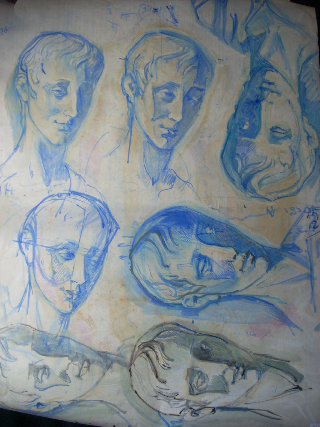 Sette teste in blu, studio di teste (disegno) di Ciamarra Elena (sec. XX)