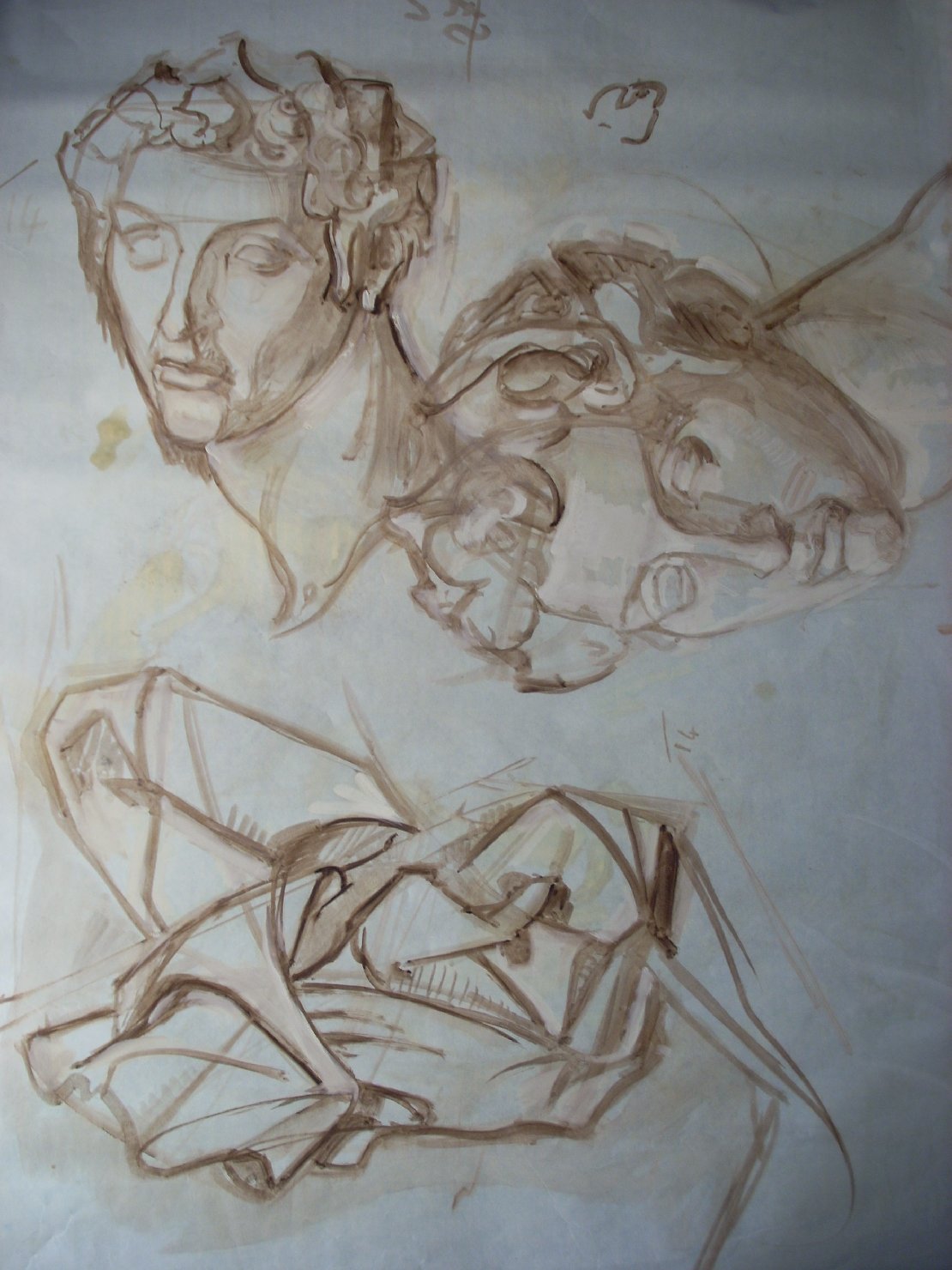 Due teste maschili e piega in marrone, testa d'uomo (disegno) di Ciamarra Elena (sec. XX)