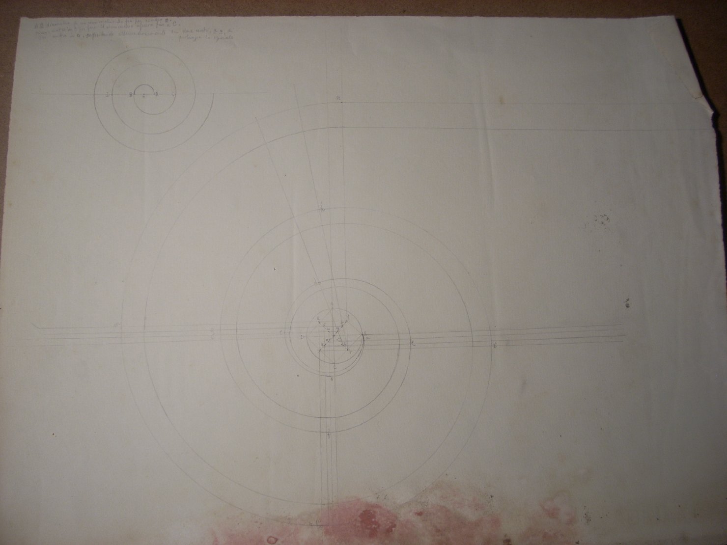 Studi del numero d'oro (disegno) di Ciamarra Elena (sec. XX)