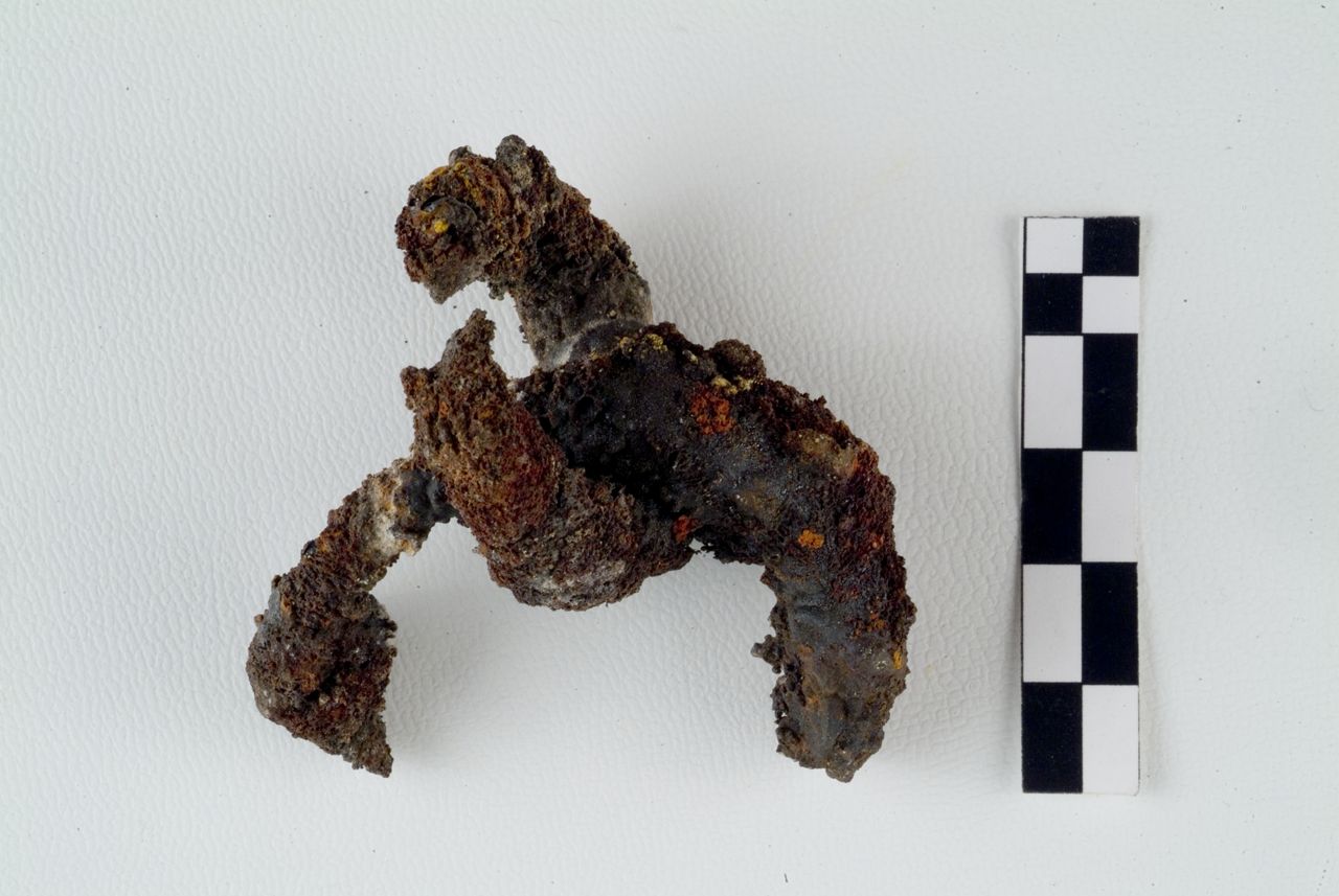 FIBULA A SANGUISUGA E MORSO EQUINO - ambito daunio (seconda metà sec. IV a.C)