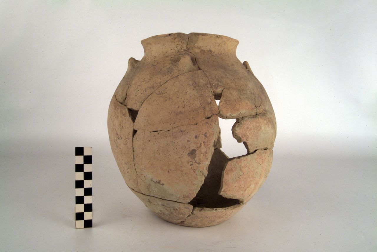 OLLA - produzione daunia (secc. V/ IV a.C)